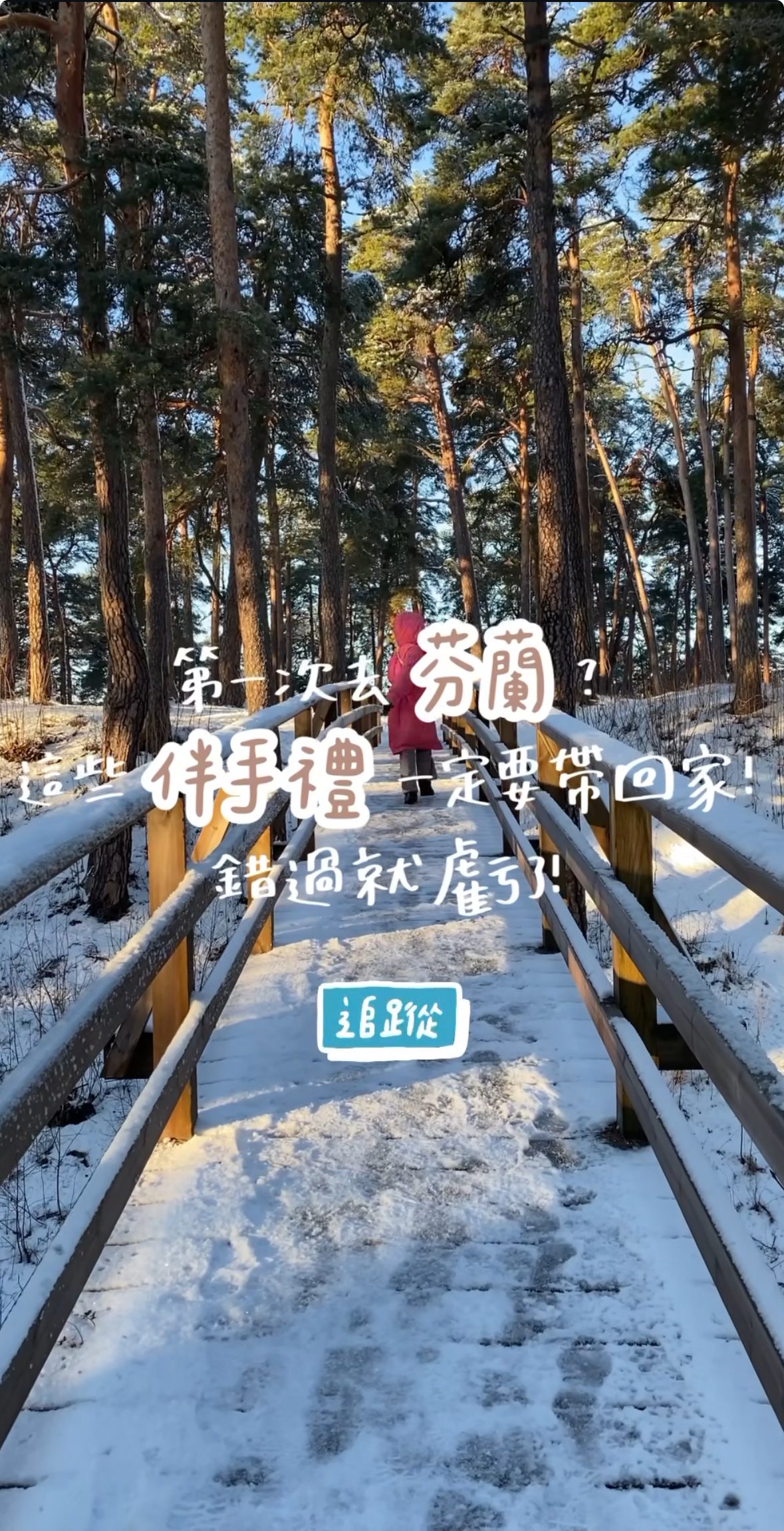 芬蘭伴手禮